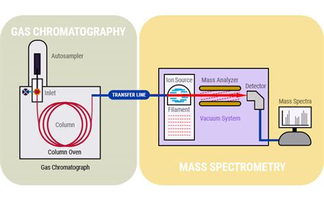 gas analysis by mass spectrometry|mass spectrometry vs gas chromatography.